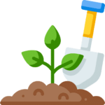 A just-planted sapling and a shovel